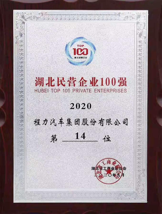 湖北省民營企業(yè)100強第19位